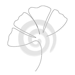 Spring flower isolated on white. Continuous line drawing. Vector