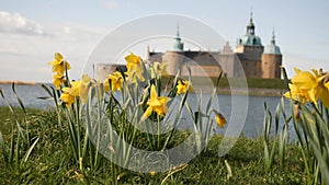 Spring Flower and Kalmar Castle in the Background, Pan