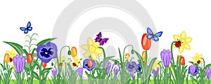 Spring flower meadow banner