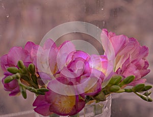Spring flower milling in glass glass, spring flowers at home, flowers on a postcard, milling