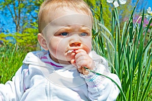 Spring Flower Munch