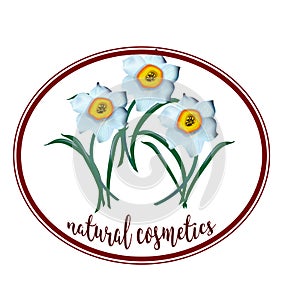 Spring flower narcissus for cosmetics logo