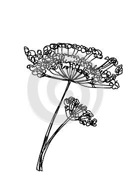 Spring flower pattern illustration drawing