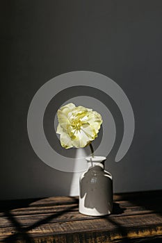 Spring flower in vase rustic still life. Beautiful yellow tulip on aged wooden bench on background of grey wall in sunlight.