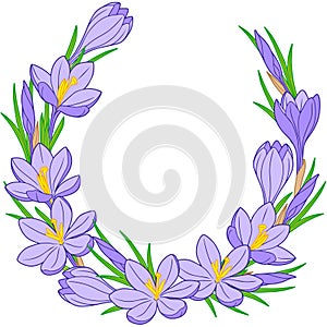 Spring flower wreath of crocuses. Vector elements isolated. photo