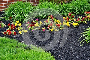 Spring flowerbed freshly filled with new mulch and compost
