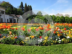 Spring flowergarden with tulips in Baden-Baden, Germany