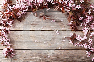 Spring flowering branch