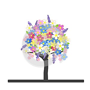 Spring flowering tree with colorful blossom