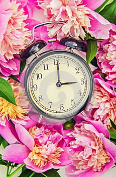 Spring flowers and Alarm Clock. Change the time.