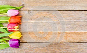 Spring flowers background with multicolored tulips decoration on wood with space for text