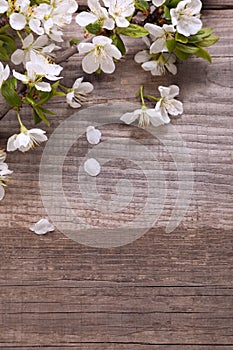 Spring Flowers on background of old vintage blue board