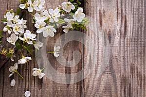 Spring Flowers on background of old vintage blue board