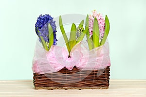 Spring flowers in the basket