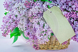 Spring flowers beautiful pink  blue lilac branch in basket