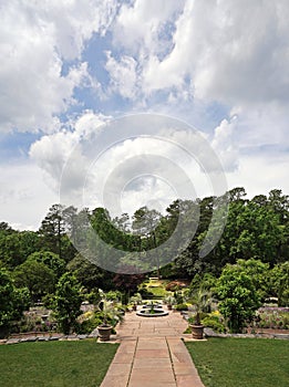 Spring flowers in bloom in Duke gardens on the campus of Duke University in Durham NC photo