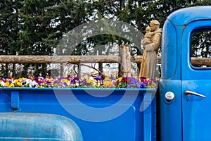 Spring Flowers Blooming Around Classic Cars in the Pacific Northwest