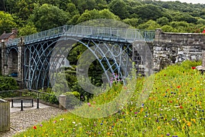 Spring flowers blooming beside the historic bridge at the town of Ironbridge, Shropshire, UK