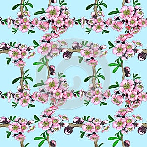 Spring flowers. Blooming tree.Collage of flowers on watercolor background.