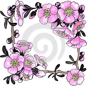 Spring flowers. Blooming tree.Collage of flowers on watercolor background.