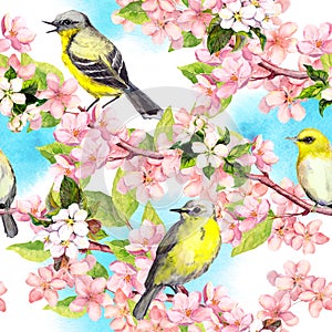 Spring flowers blossom, birds with blue sky. Floral seamless pattern. Vintage watercolor