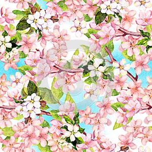 Spring flowers blossom - sakura, cherry, apple and blue sky. Floral seamless pattern. Watercolor