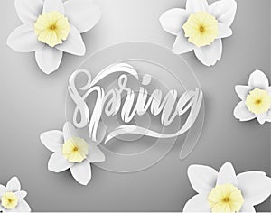 Spring vector background. EPS10