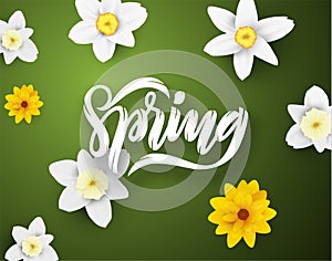 Spring vector background. EPS10