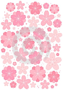 Spring flowers, blossoms, blooms, floral background.
