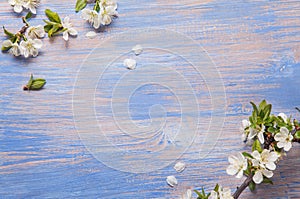 Spring Flowers on the blue background of an old vintage blue boa