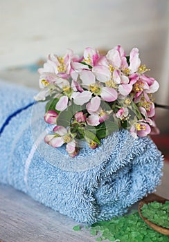 Spring flowers on a blue fluffy towel