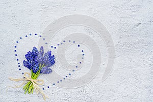 Spring flowers. Blue muscari spring flowers grape hyacinth on white grunge stone background. Top view, flat lay, copy