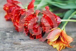 Spring flowers. Bouquet of Red tulips on brown wooden background. Mother's Day and Valentines Day background