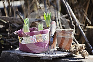 Spring flowers bulbs in handmade patchwork bag with garden tool and ceramic pots