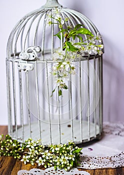 spring flowers cage romantic diary shabbychic