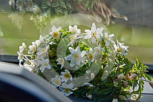 Spring flowers on the car's torpedo under the windshield.