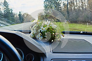 Spring flowers on the car's torpedo under the windshield.