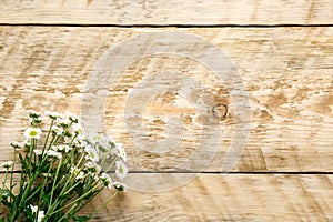 Spring flowers chamomile on wooden board