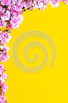 Spring flowers. Cherry blossom on a yellow paper background. Floral frame border. Template with copy space. Romantic pattern with