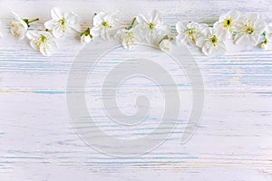 Spring flowers of cherry on a white wooden background with a place for an inscription. Design for greeting card with cherry