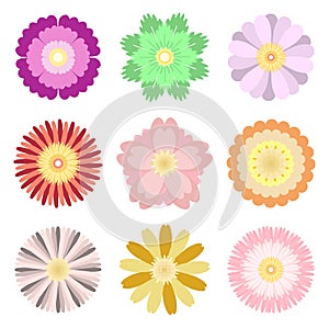 Colorful spring flowers collection set isolated on  white background
