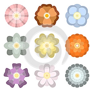 Colorful spring flowers collection set isolated on  white background