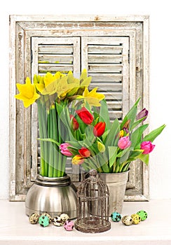 Spring flowers and colored easter eggs. tulips and narcissus