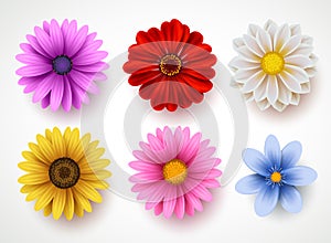 Spring flowers colorful vector set isolated in white background