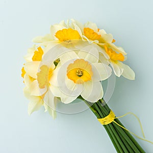 Spring flowers daffodil bouquet - white narcissus on blue pastel background.