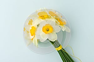 Spring flowers daffodil bouquet - white narcissus on blue pastel background.