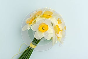 Spring flowers daffodil bouquet - white narcissus on blue pastel background.