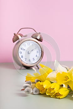 Spring flowers daffodils and willow with defocused alarm clock. Spring time, daylight savings concept, spring forward