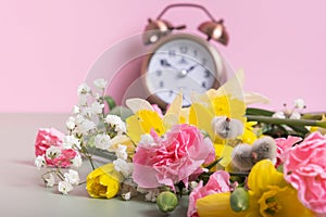 Spring flowers daffodils and willow with defocused alarm clock. Spring time, daylight savings concept, spring forward