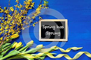 Spring Flowers Decoration, Branch, Blackboard, Text Spring Has Sprung photo